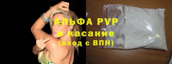 спиды Вяземский