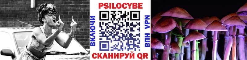 Галлюциногенные грибы Psilocybe  мега как войти  Сердобск 